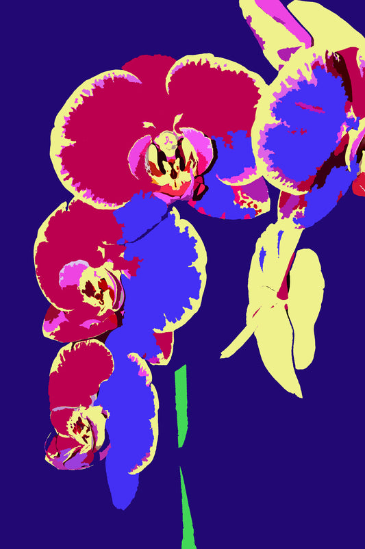 Falling Orchid